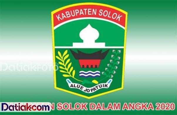 Pendataan Kabupaten Solok Dalam Angka 2020 butuh dukungan OPD hingga masyarakat. (Logo Kabupaten Solok)